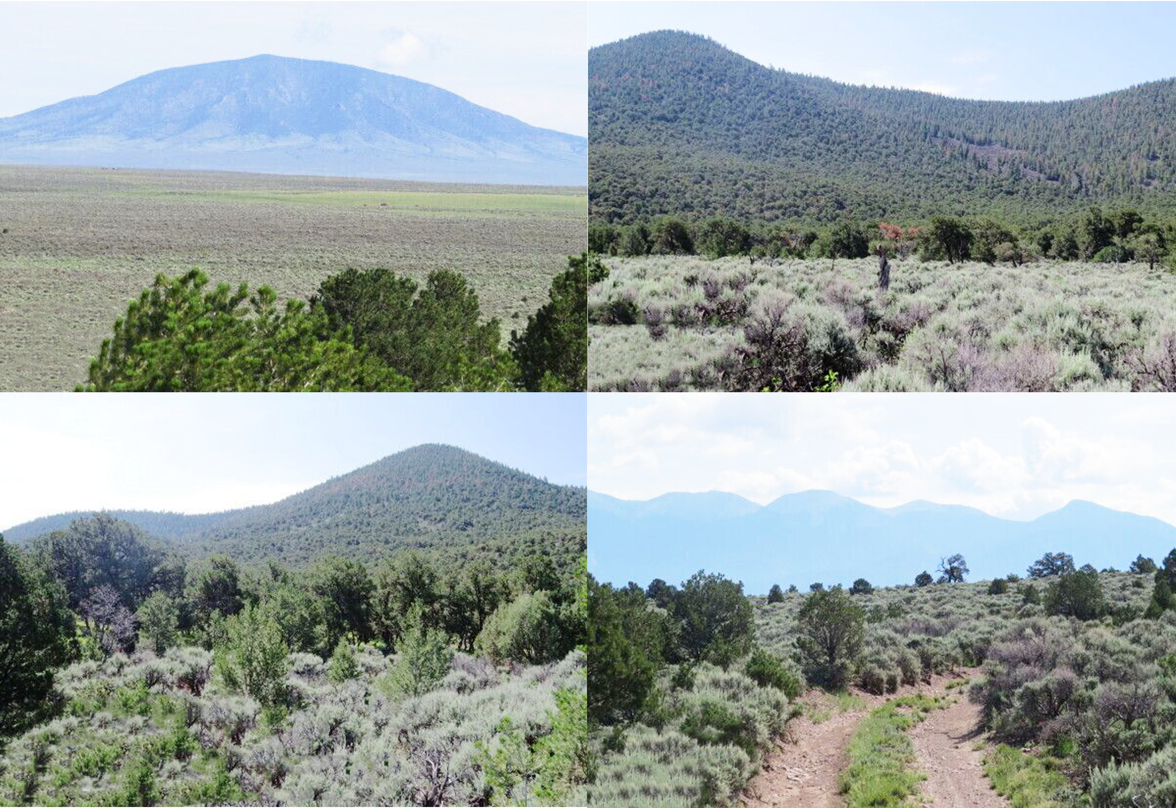 Taos Valley, New Mexico